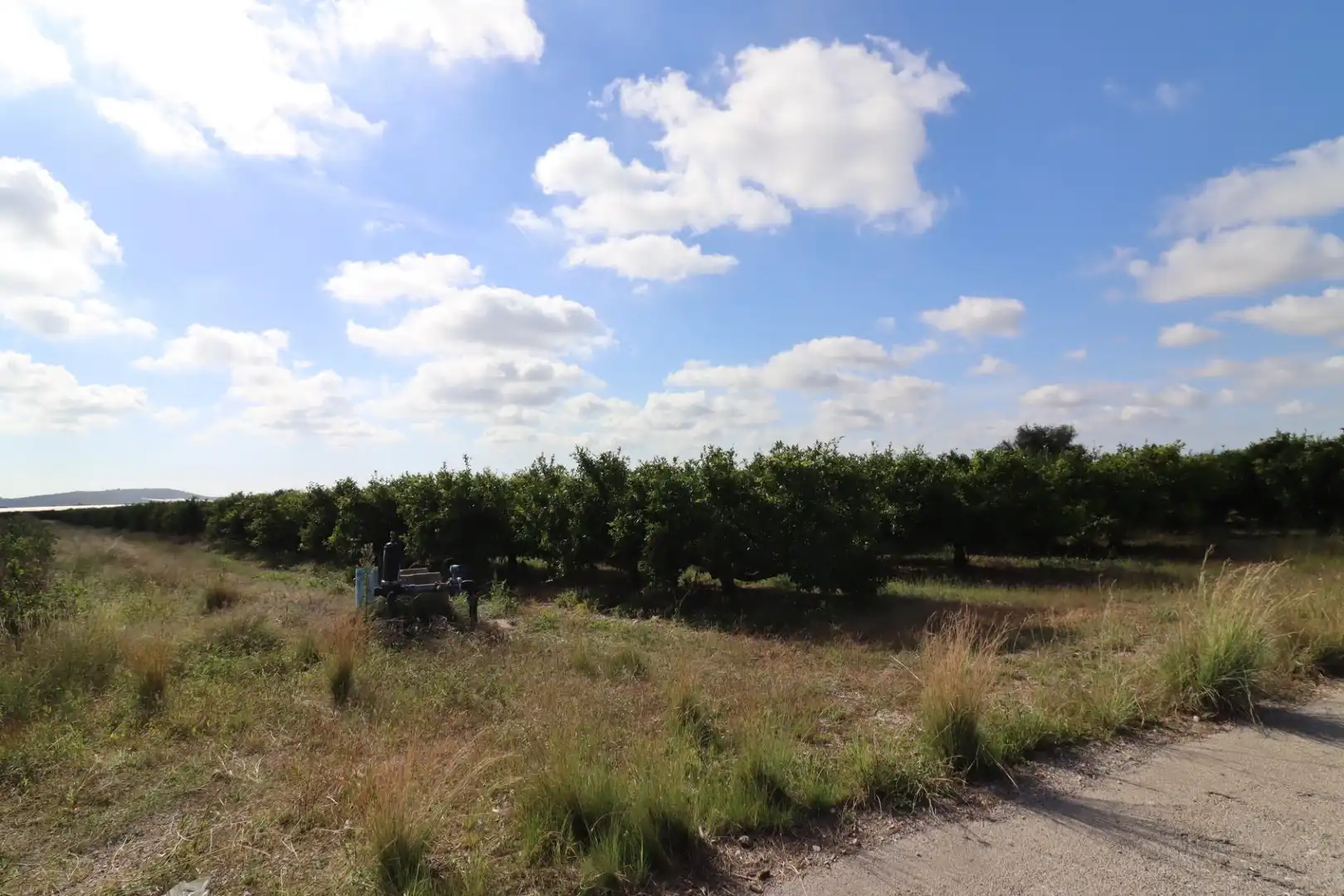 Rural land for sale in Partidas de interior - Zona Rústica, imagen 9