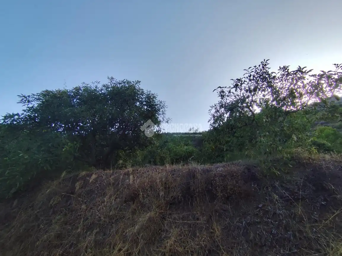 Terreno rustico in vendita a Los Guájares, imagen 8