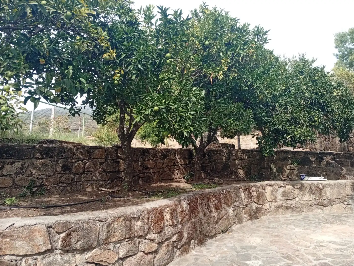 Haus mit Garten zum Verkauf in Villanueva de la Vera, imagen 57