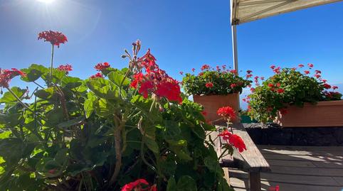 Foto 2 de Casa o xalet en venda a El Bebedero - Pinolere - Aguamansa, La Orotava