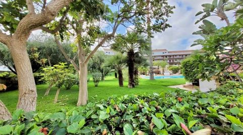 Foto 5 von Wohnungen zum Verkauf in Calle Retama, 61, Zona Botánico, Puerto de la Cruz