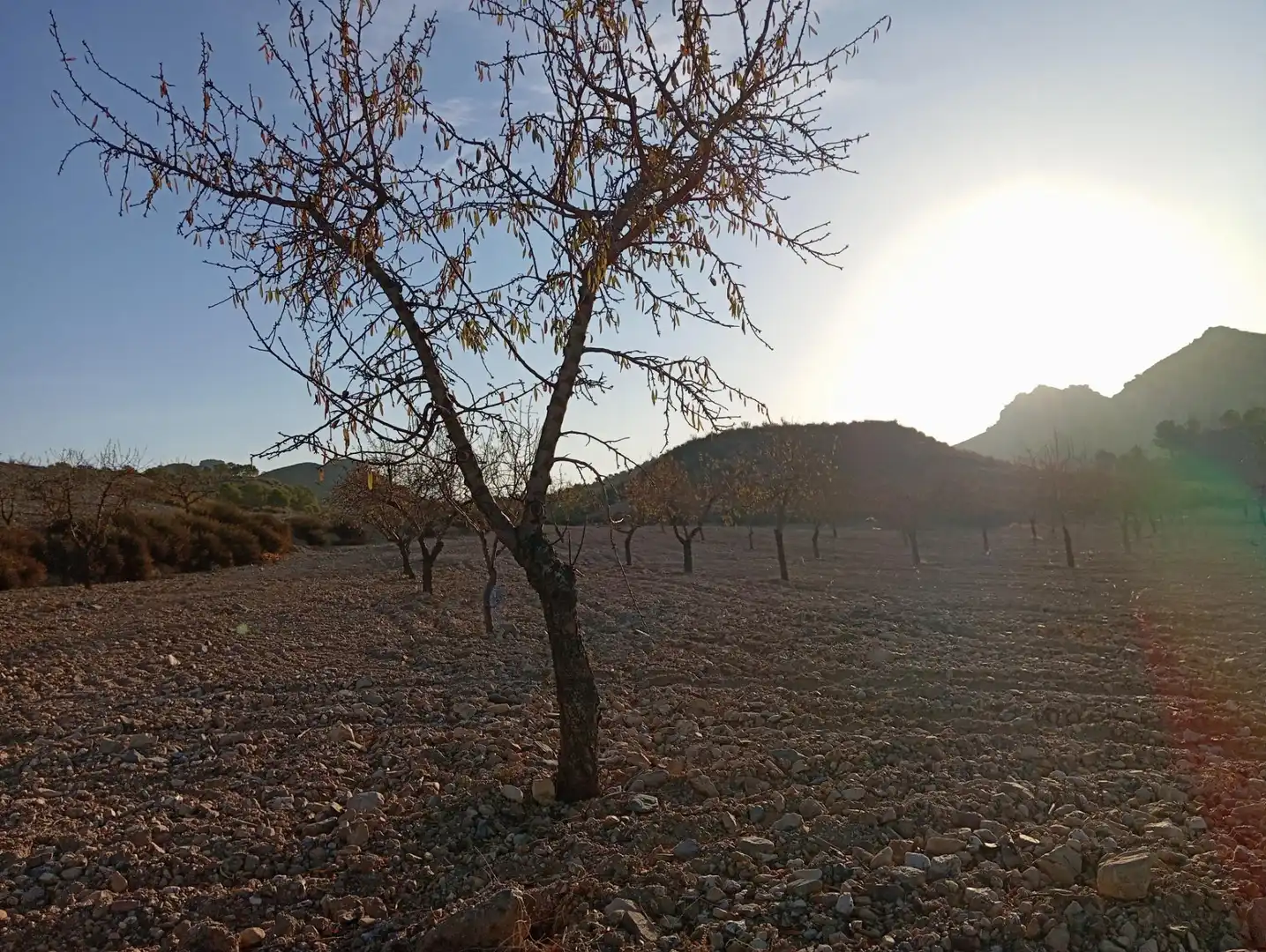 Houses for sale in Bejar