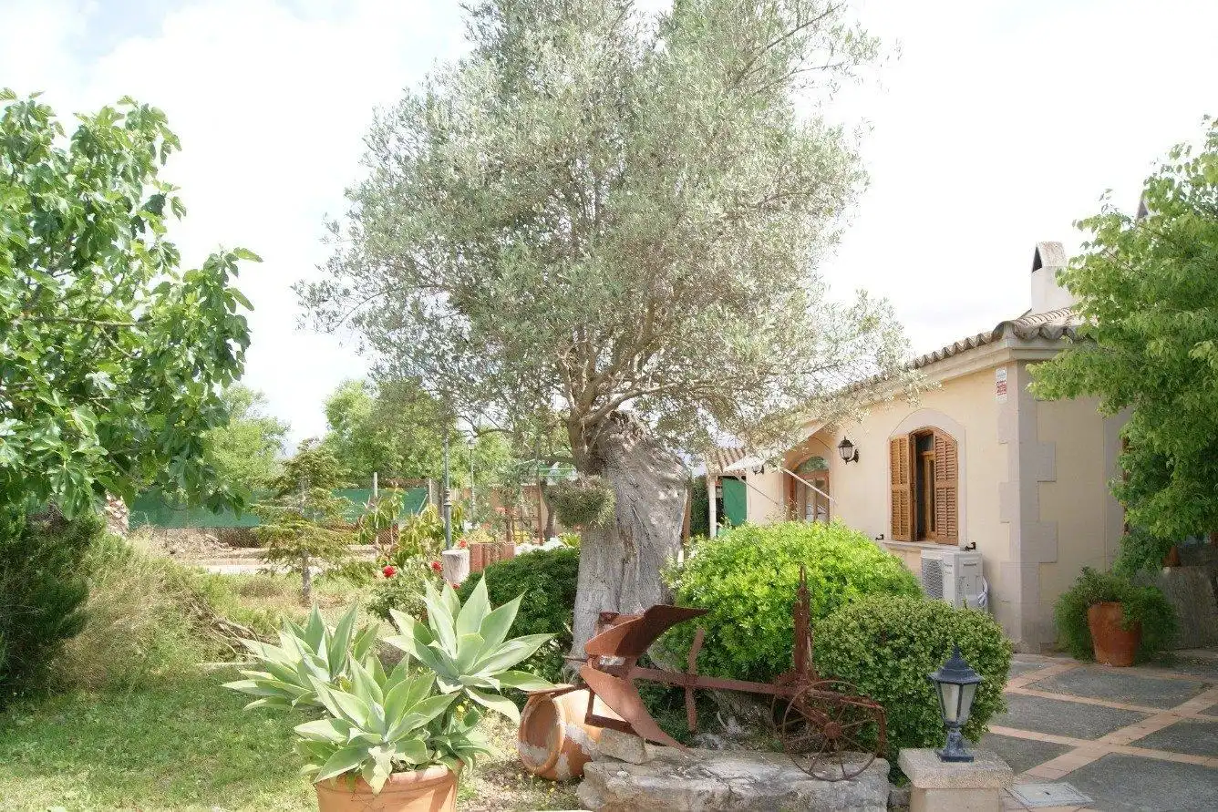Jardín de Casa o chalet en venta en  Palma de Mallorca con Aire acondicionado, Calefacción y Terraza