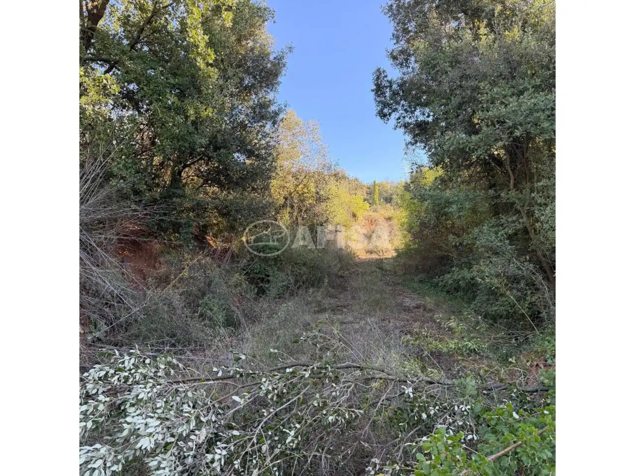 Terreno en venta en Cardedeu