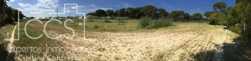 Finca rústica en venda en Almonte amb Terrassa i Moblat
