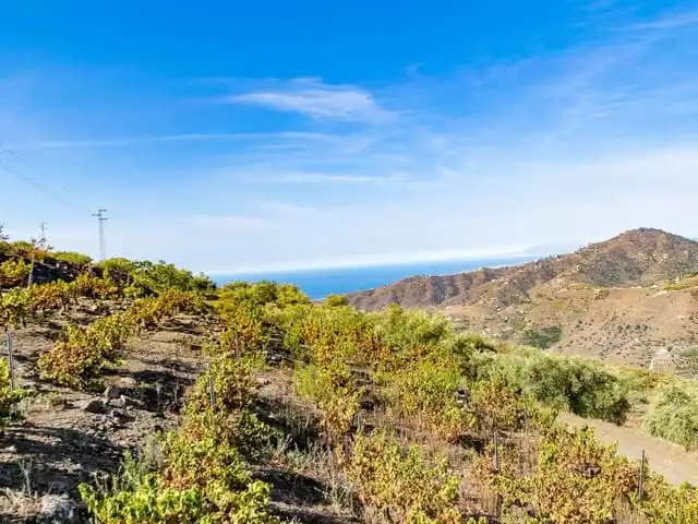 Casa o chalet en venta en Torrox Pueblo