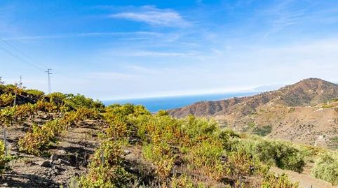 Foto 3 de Casa o chalet en venta en Torrox Pueblo, Torrox