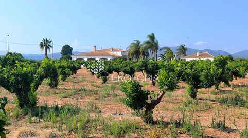Foto 3 de Casa o xalet en venda a Camí de Paterna - Lloma del Calderer, Bétera