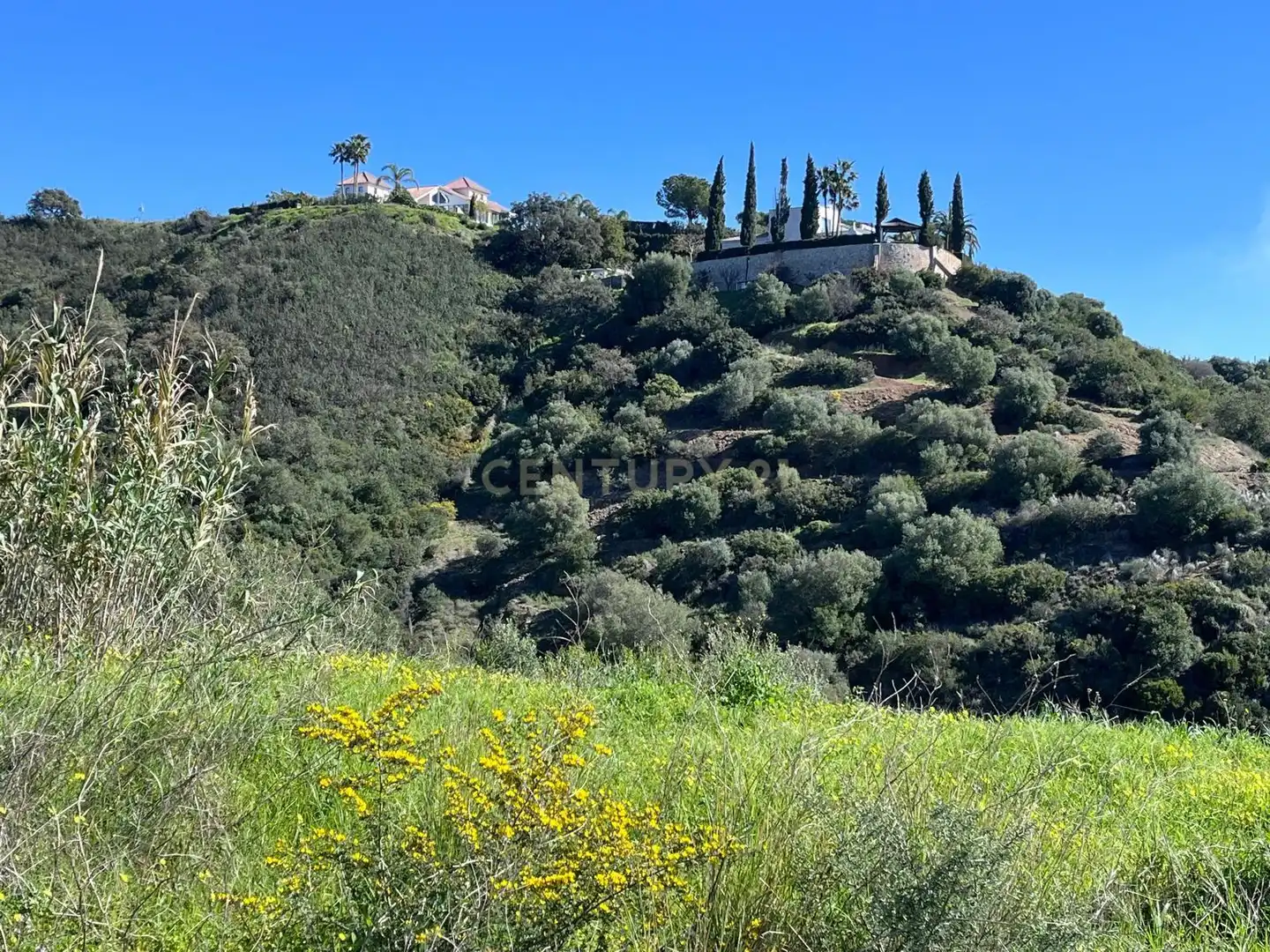 Exterior view of Residential for sale in Estepona