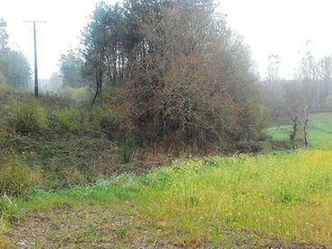 Terreno rustico in vendita a Lugar Folgueiras