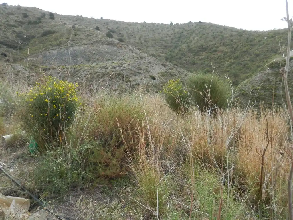 Residencial en venta en Lújar
