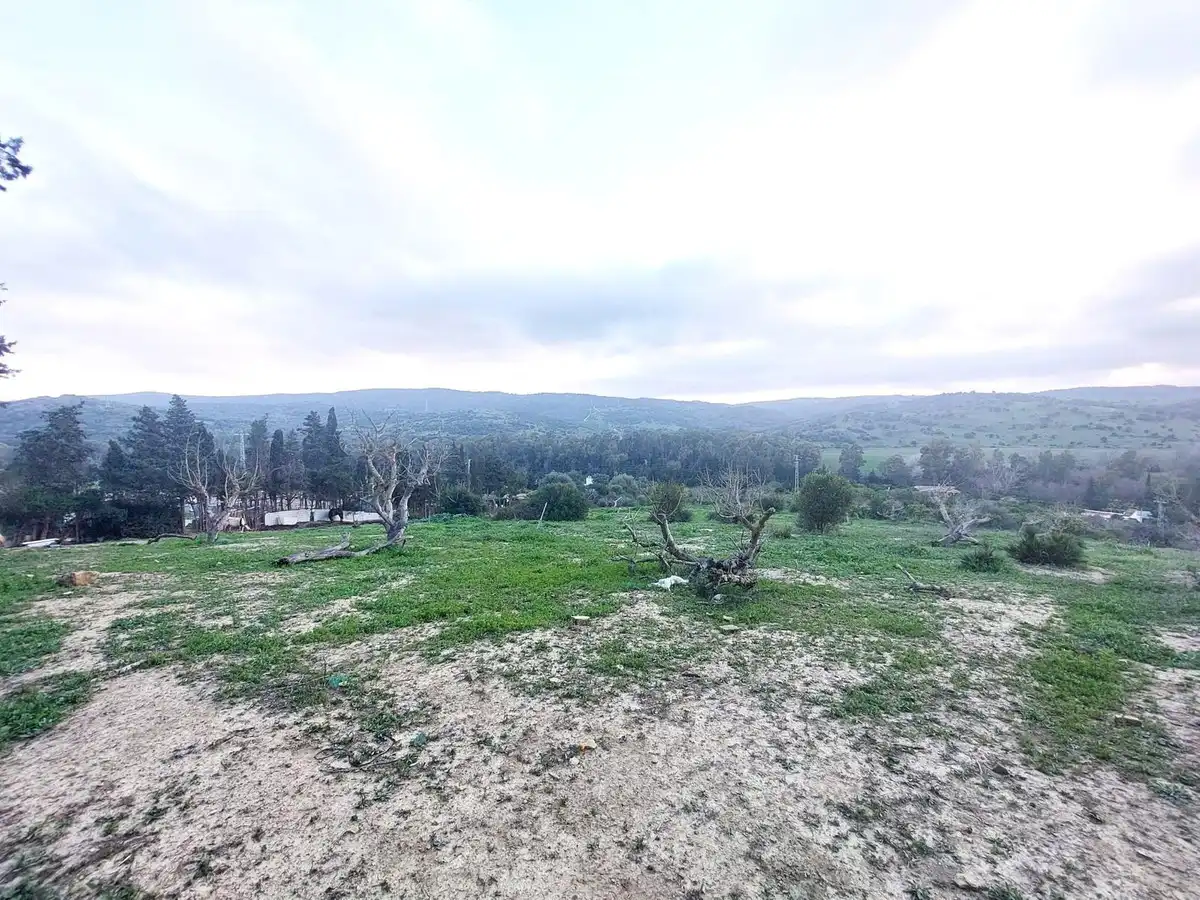 Casa o xalet en venda a San Martín del Tesorillo