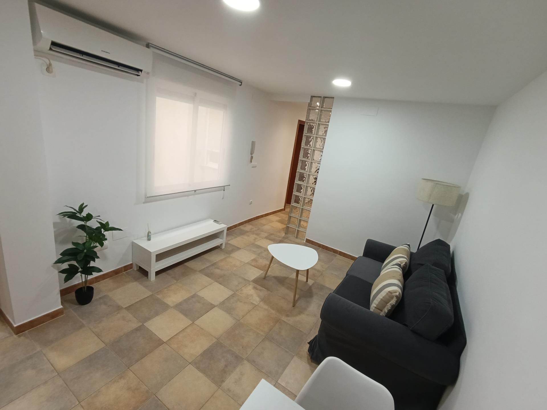 Sala d'estar de Pis de lloguer en Elche / Elx amb Aire condicionat