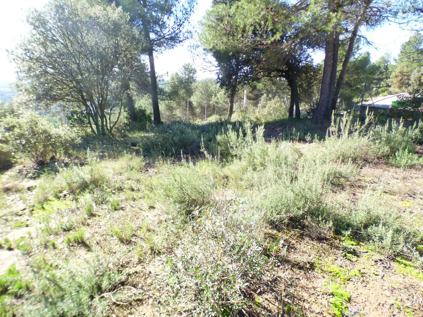 Terreny residencial en venda a Castellnou de Bages, imagen 5