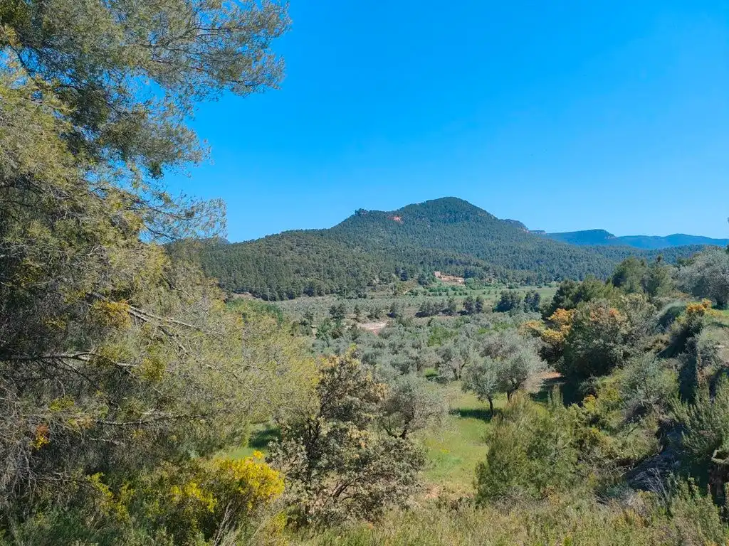 Terreni e lotti in vendita a Ráfales, imagen 6