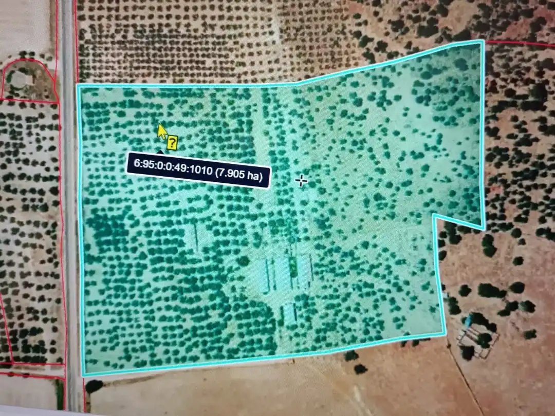 Grundstücke zum Verkauf in Olivenza