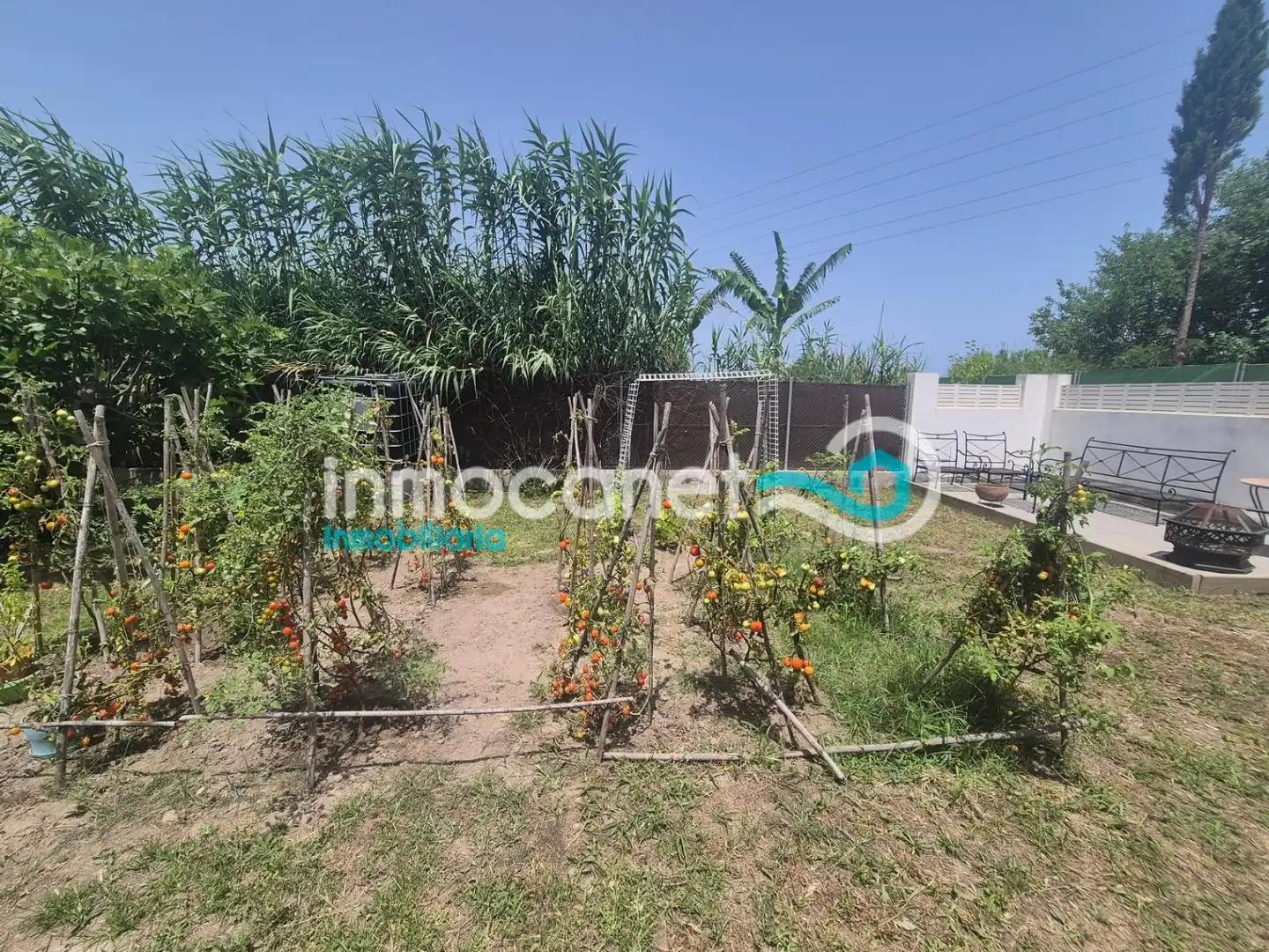 Finca rústica en venta en Oliva con Jardín privado, Terraza y Trastero