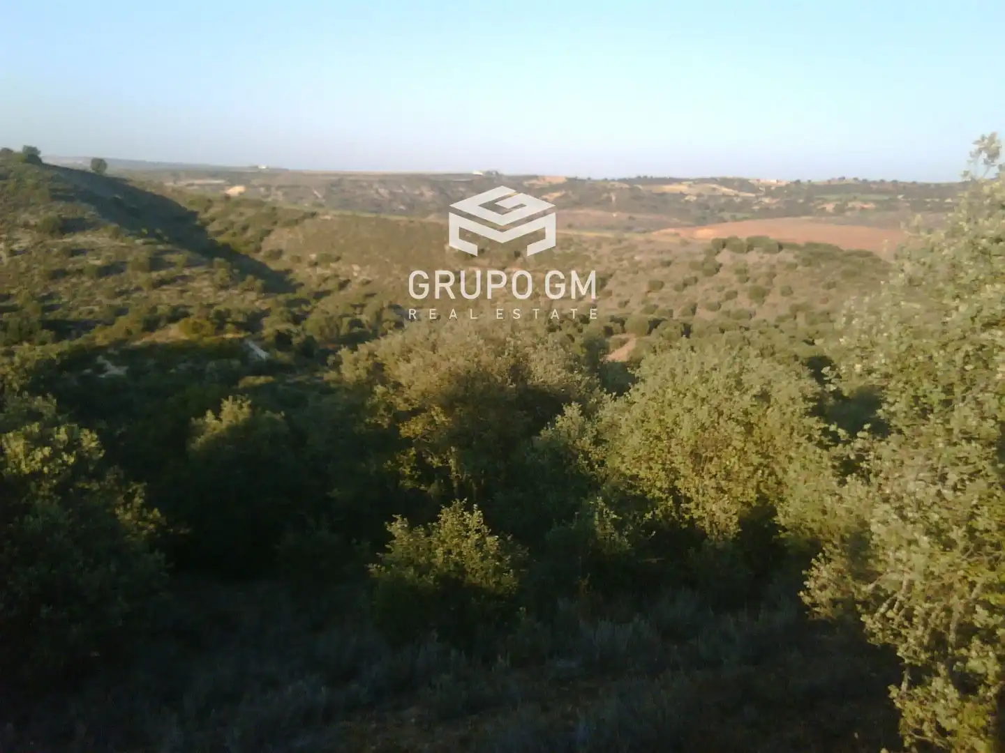 Rural land for sale in Mayor, imagen 10