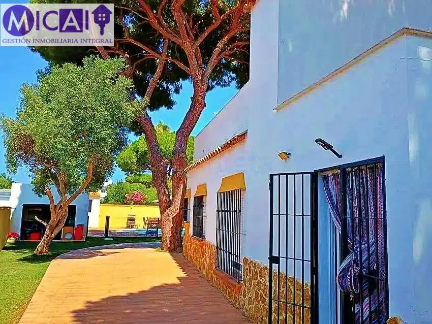 Vista exterior de Casa o xalet en venda en Chiclana de la Frontera amb Aire condicionat, Jardí privat i Traster