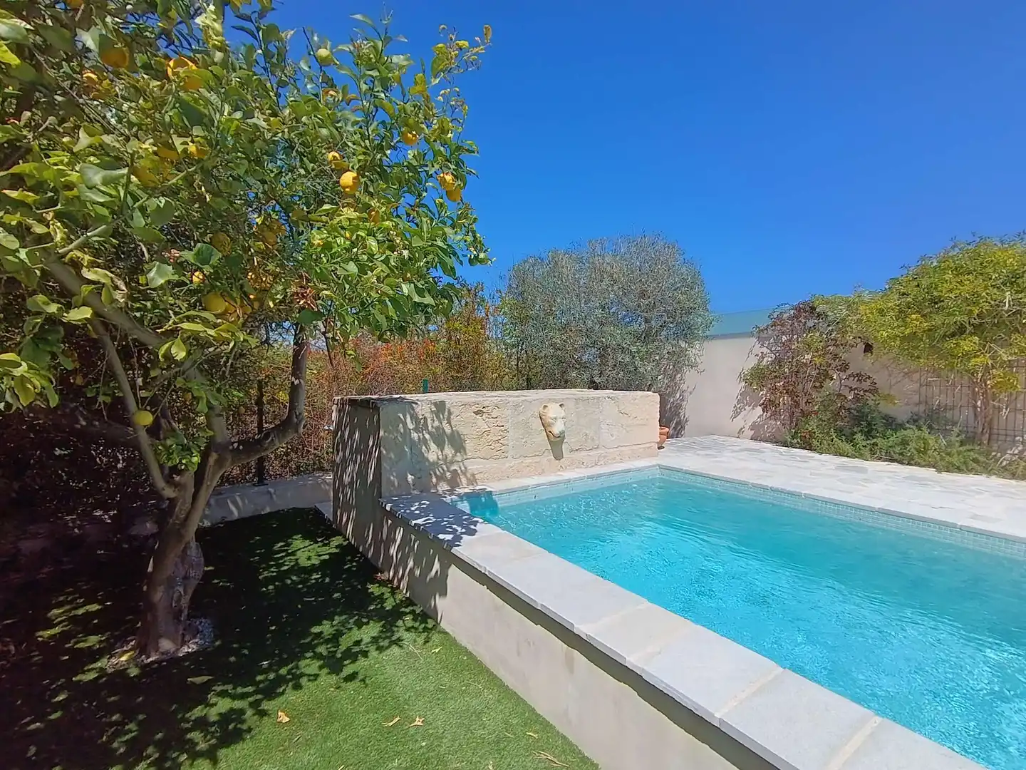 Swimming pool of Houses for sale in Llubí  with Heating, Terrace and Furnished