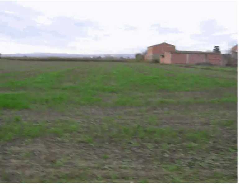 Land for sale in Zaragoza