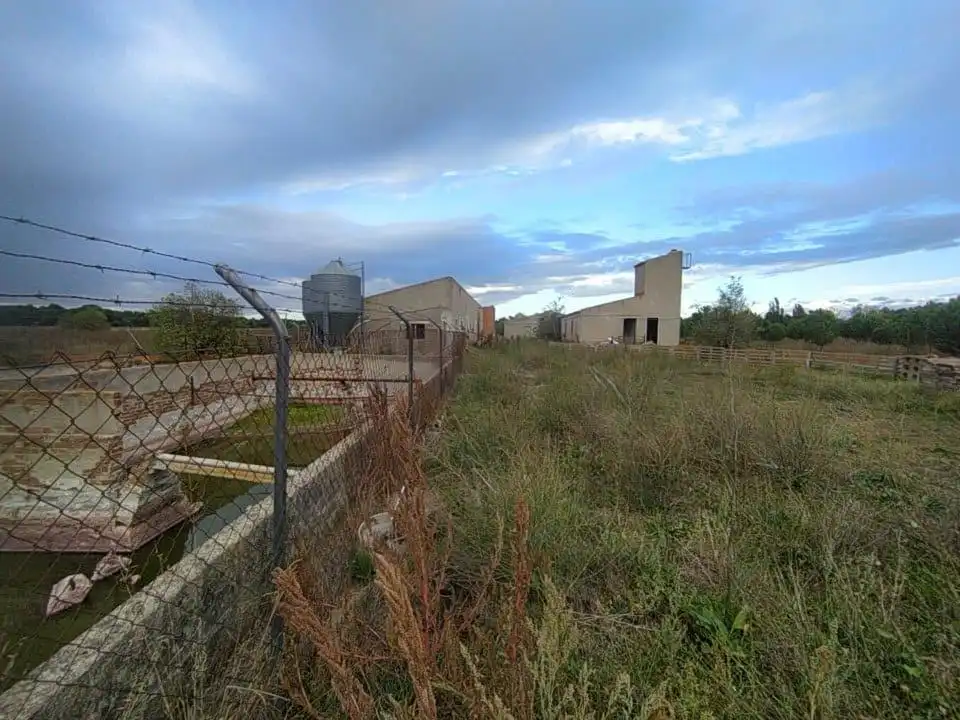 Nave industrielle à vendre à Fuentepelayo, imagen 29