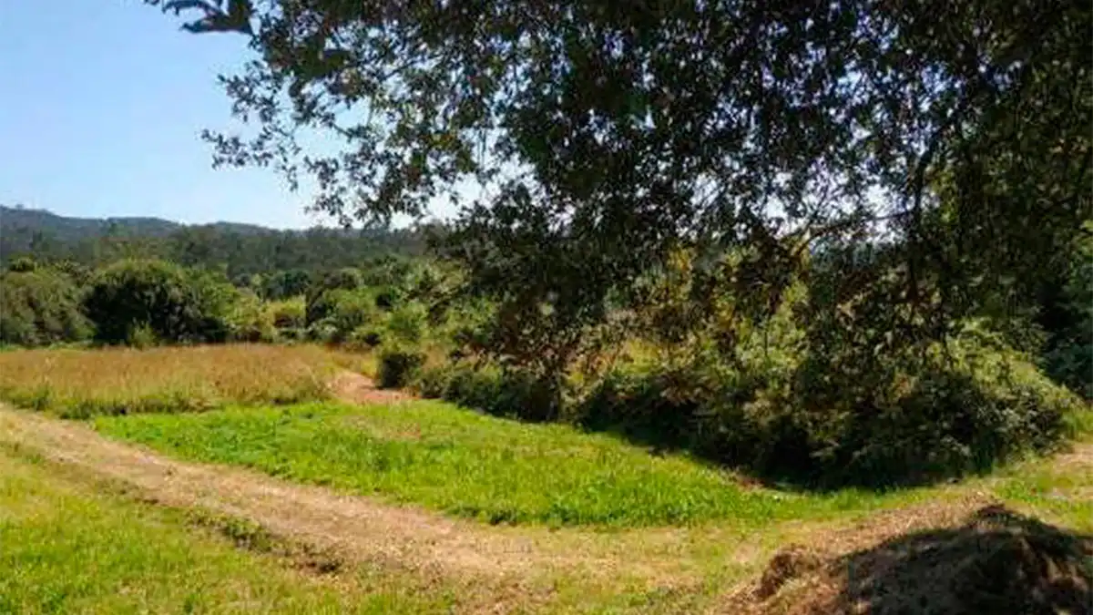 Terreny rústic en venda a Lugar Souto 12, imagen 5