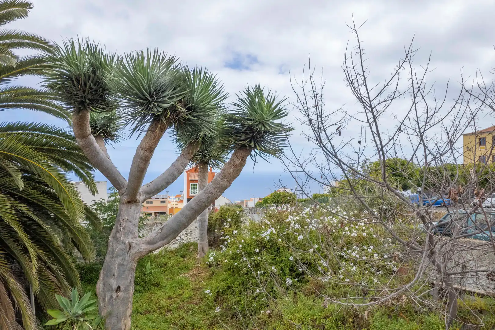 Residencial en venta en La Guancha