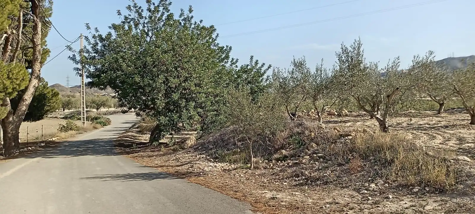 Maison avec jardin à vendre à Mojácar Pueblo, imagen 21