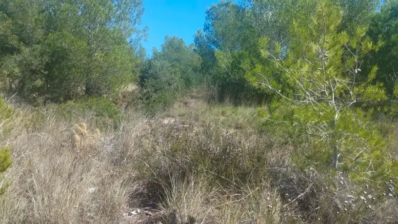 Terreni e lotti in vendita a Lugar Ferradura, imagen 8