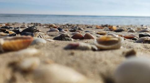 Photo 3 of Flat for sale in D'escandinàvia, Gran Vista - Olivo de Oro, Santa Pola