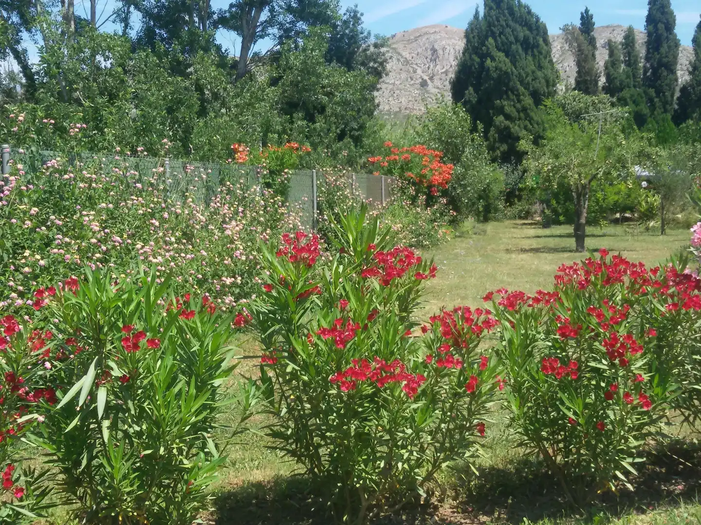 Terrenys i solars en venda a Ullà, imagen 15