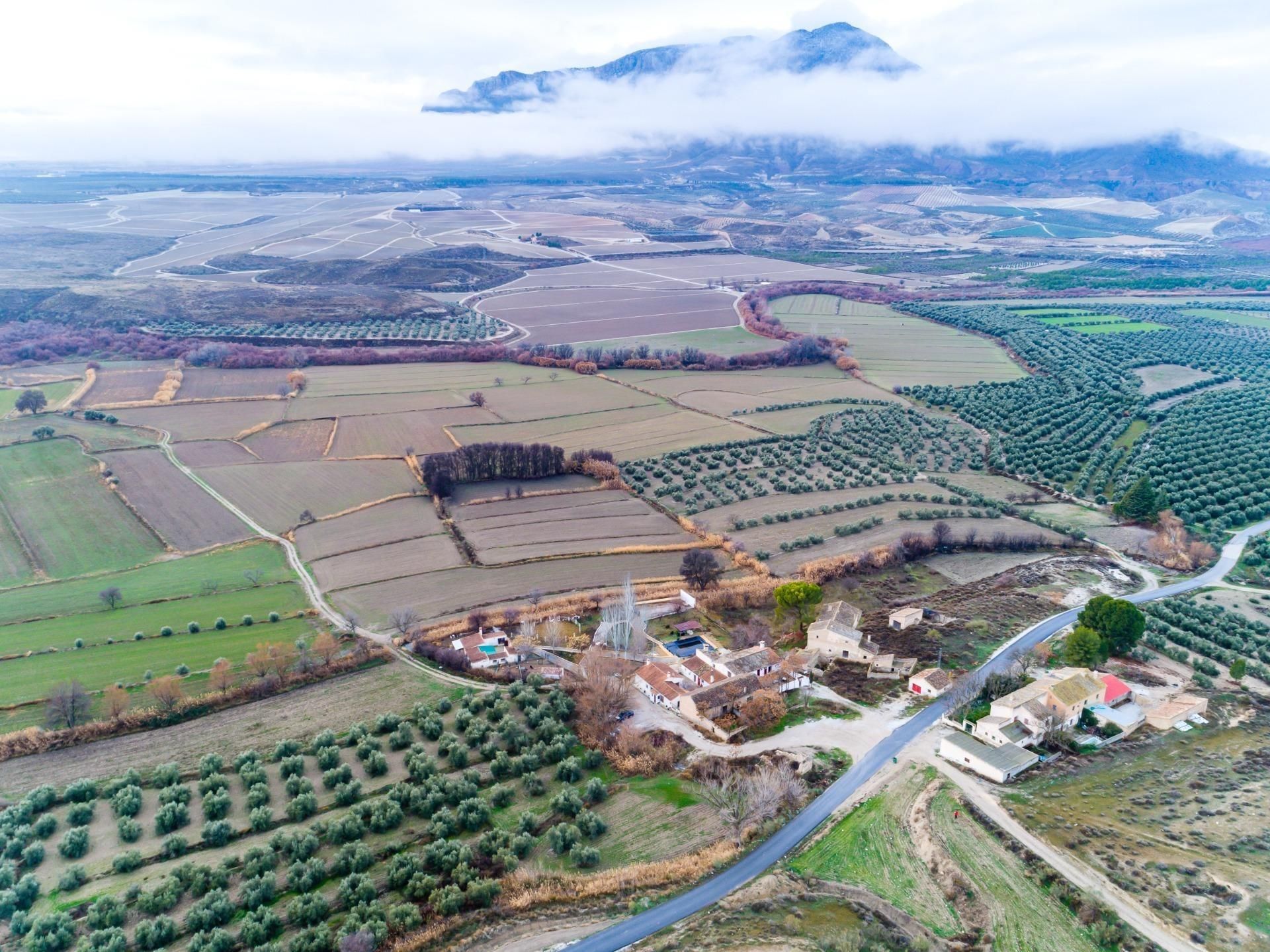 Finca rústica en venda en Benamaurel