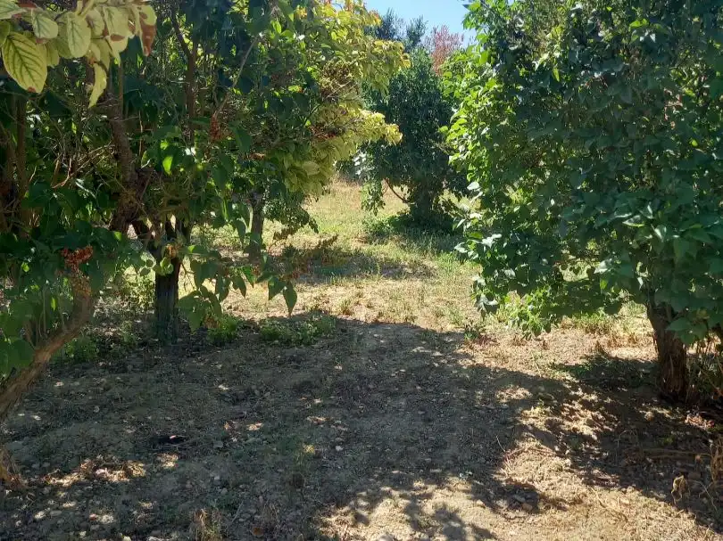 Casa rústica amb jardí en venda a Calle Villar 8, imagen 5