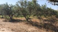 Residential for sale in Garcia