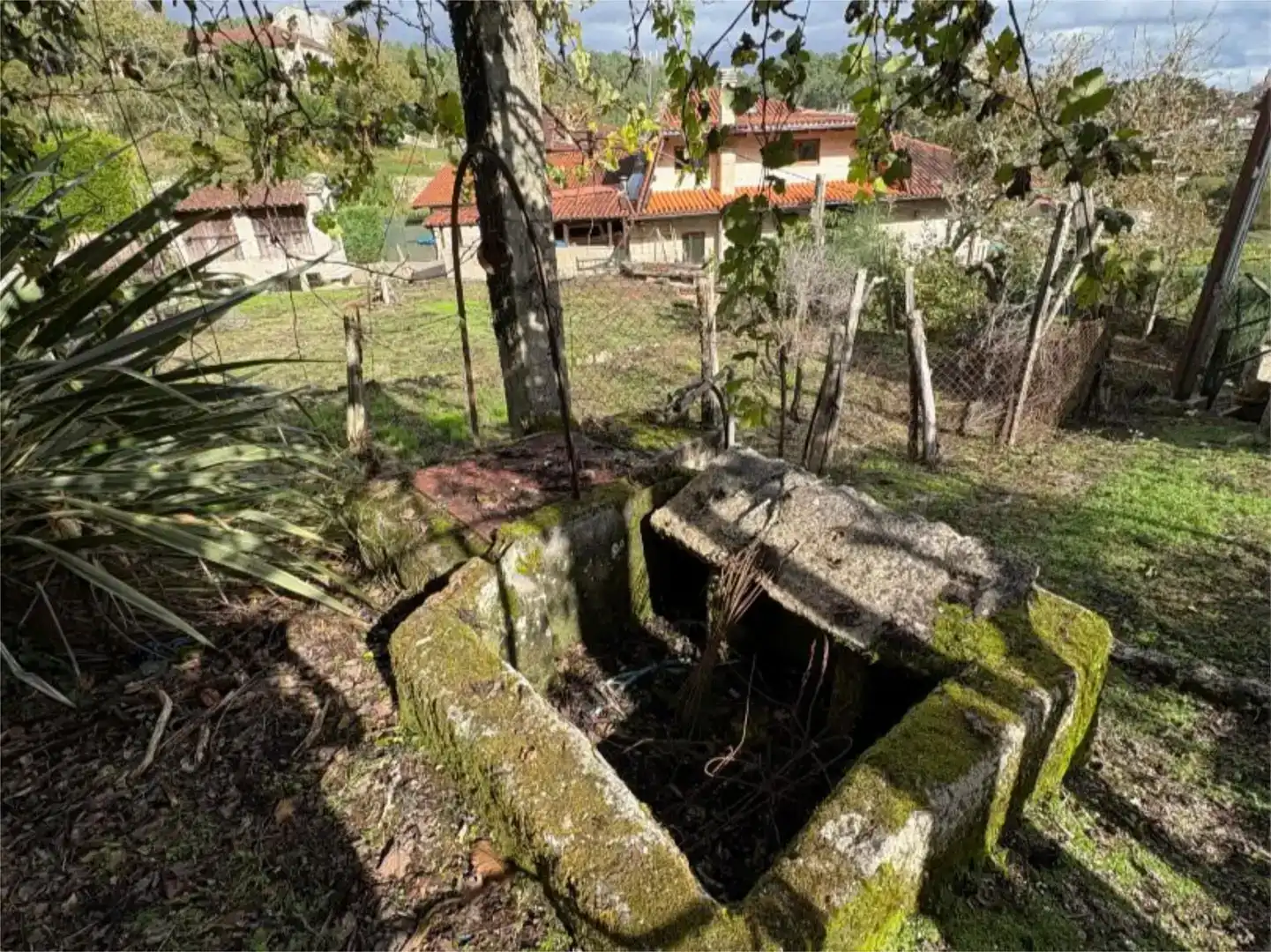 Vista exterior de Casa o xalet en venda en Carballeda de Avia