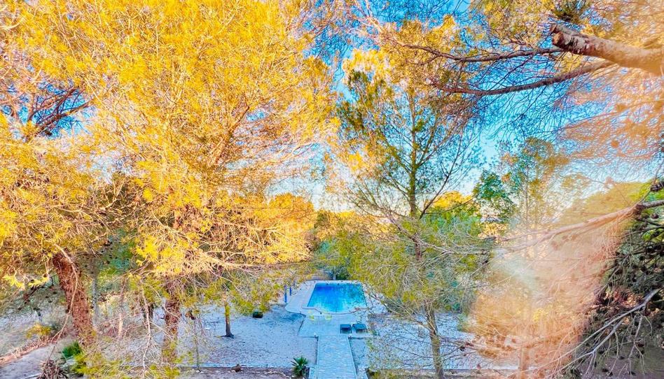 Foto 1 de Finca rústica de alquiler en Garbanzuelo, Los Balcones - Los Altos, Alicante