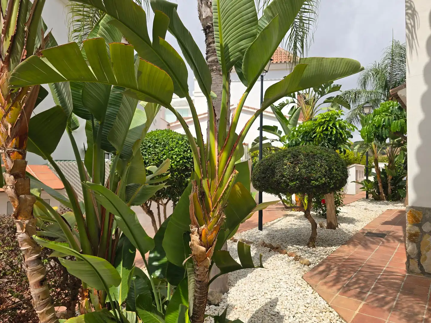 Maison mitoyenne avec terrasse à vendre à Riviera del Sol, imagen 45