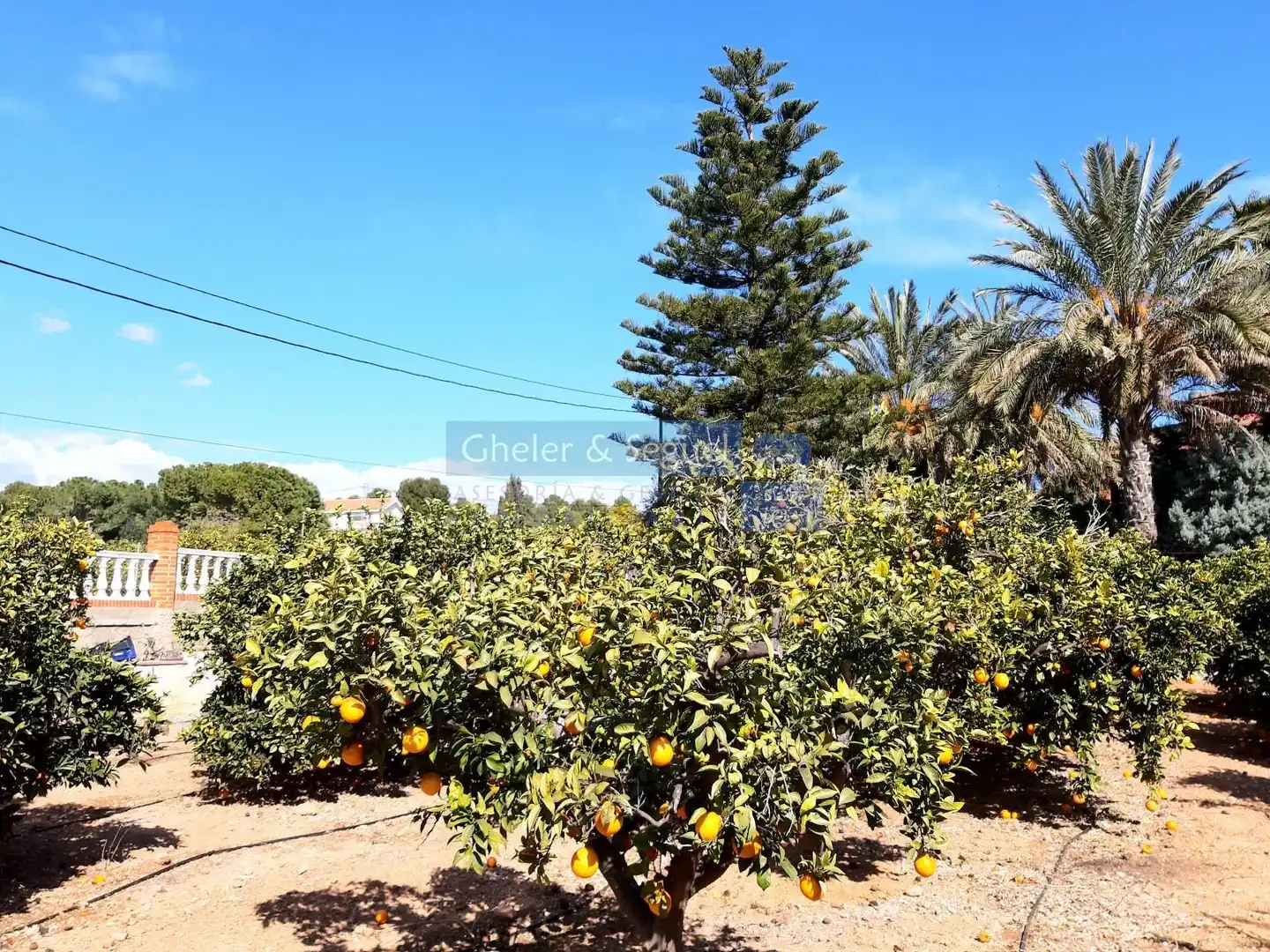 Vista exterior de Casa o chalet en venta en Albalat dels Tarongers con Terraza