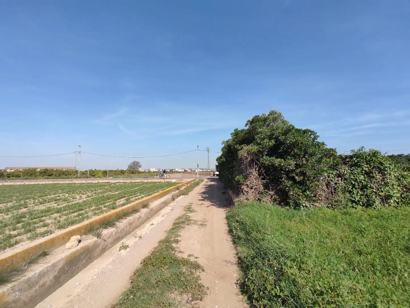 Land for sale in Valencia