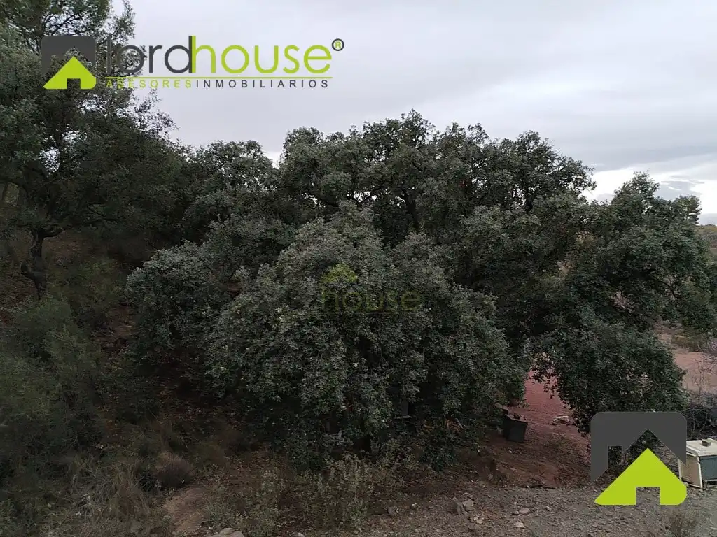 Casa o chalet en venta en Lorca