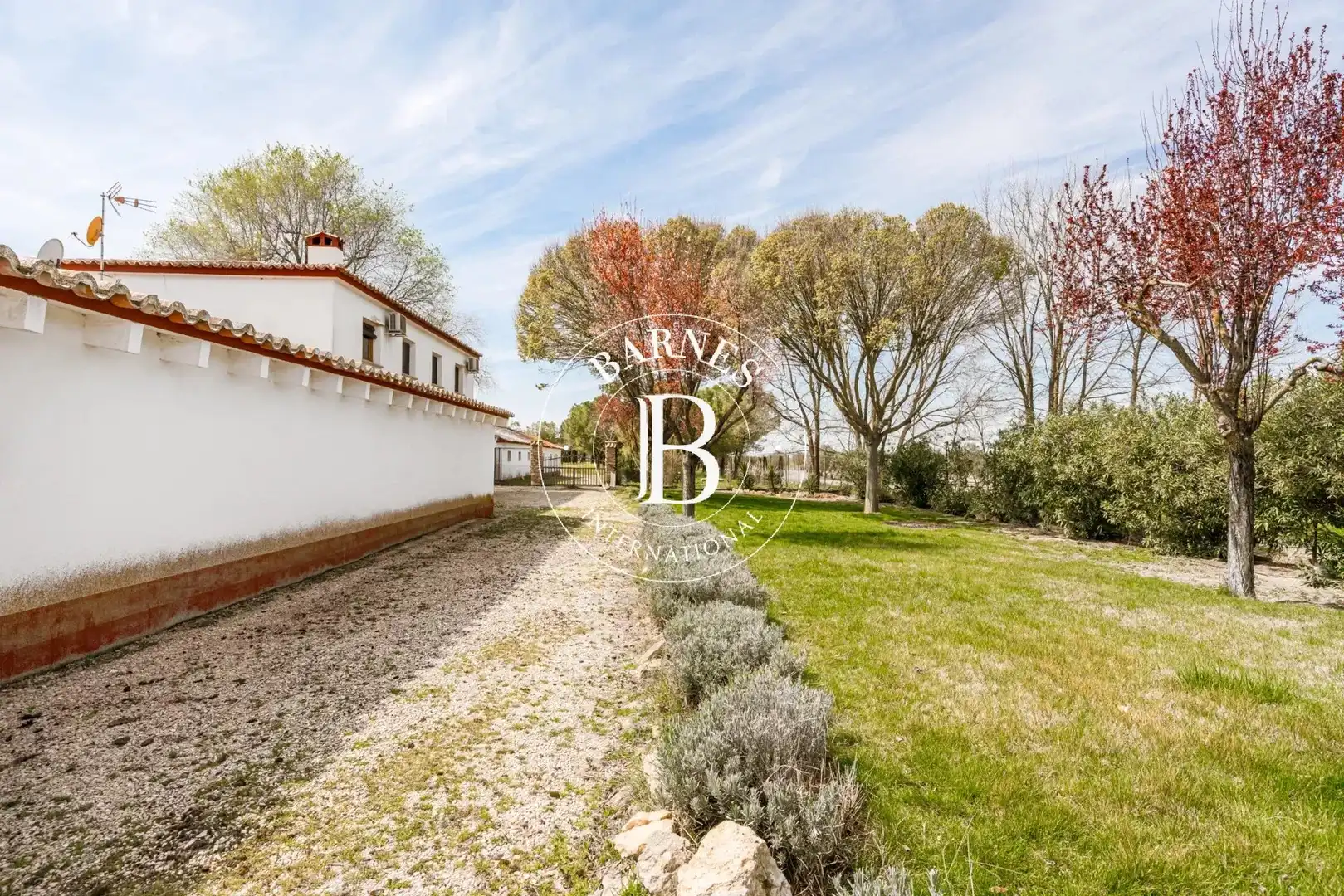 Jardín de Casa o chalet en venta en Alcázar de San Juan con Jardín privado, Piscina y Amueblado