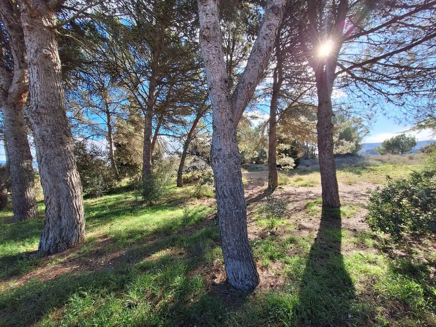Terrenys i solars en venda a Sesoliveres - Pla de la Massa, imagen 7
