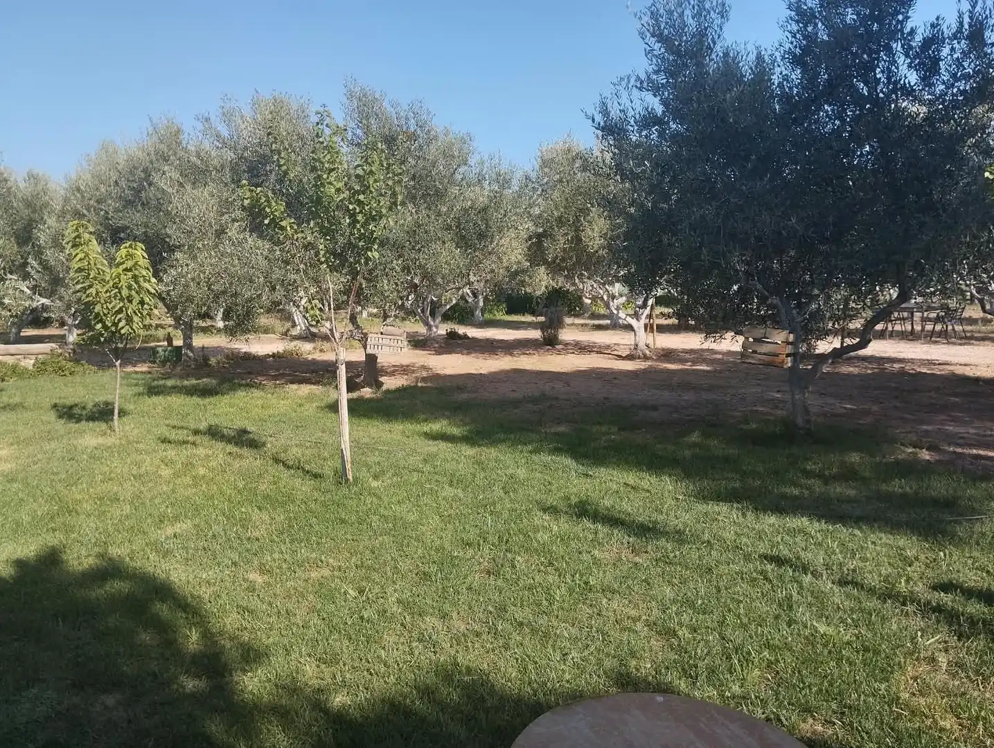 Finca rústica en venda a La Punxa
