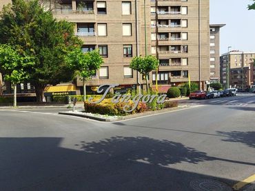 Locale commerciale in vendita a Sarrikobaso Kalea