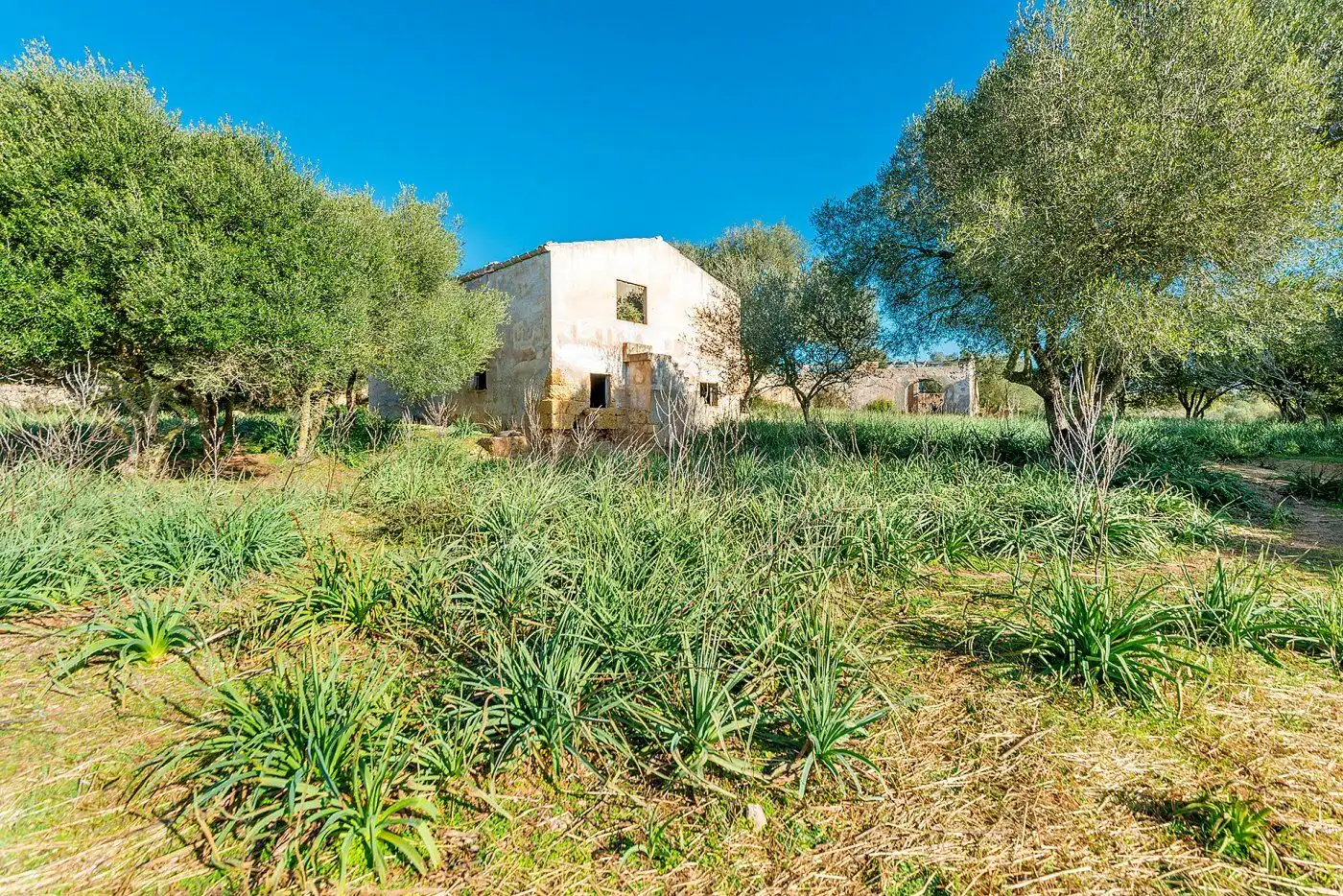 Exterior view of Country homes for sale in Inca