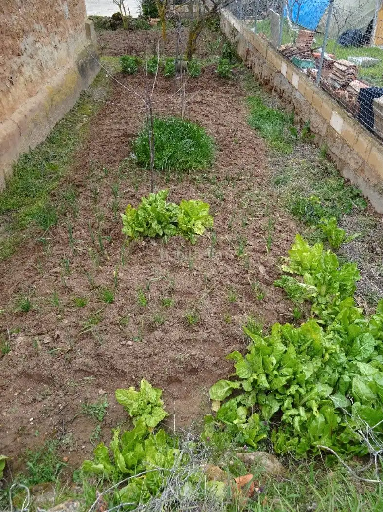 House with garden for sale in Travesía Mayor 6, imagen 26