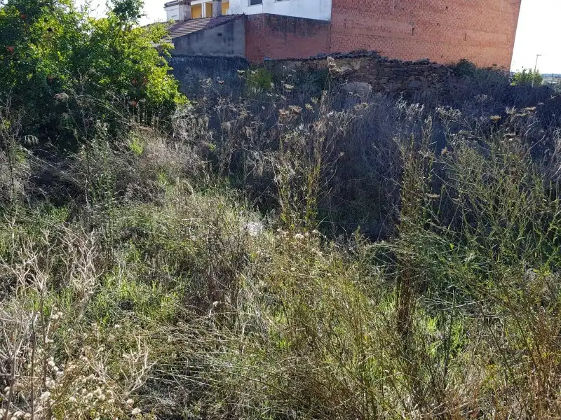 Terreni e lotti in vendita a Ceclavín, imagen 13