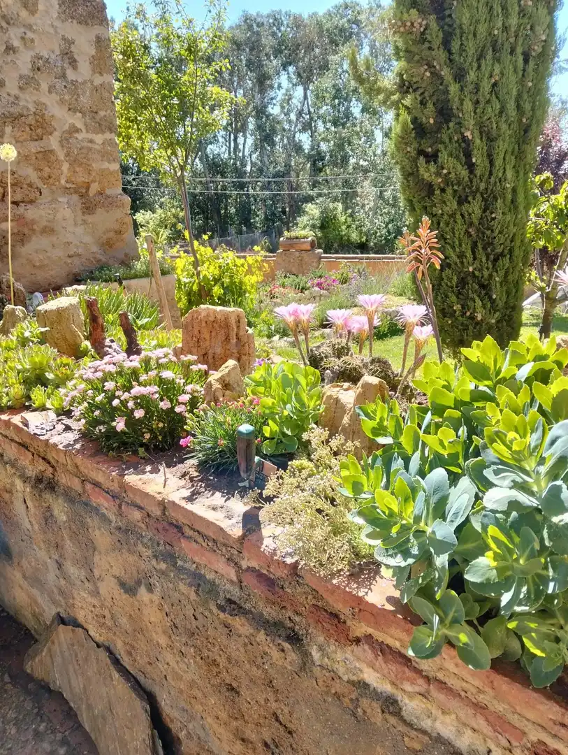 Jardín de Edificio en venta en Valdunquillo