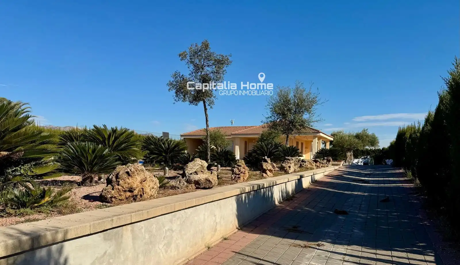 Vista exterior de Casa o chalet en venta en Orihuela